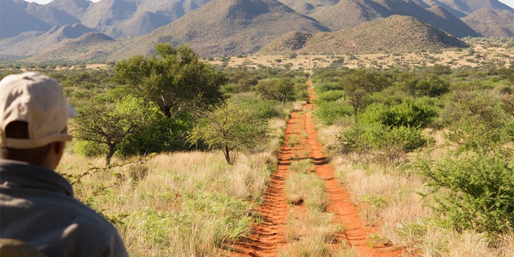 TMAC Guided Safaris 3