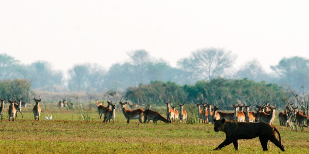TMAC Unaccompanied Safaris_0001_052 (2)