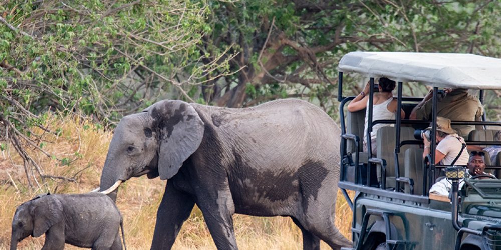 TMAC Unaccompanied Safaris_0004_Honeymoon-19