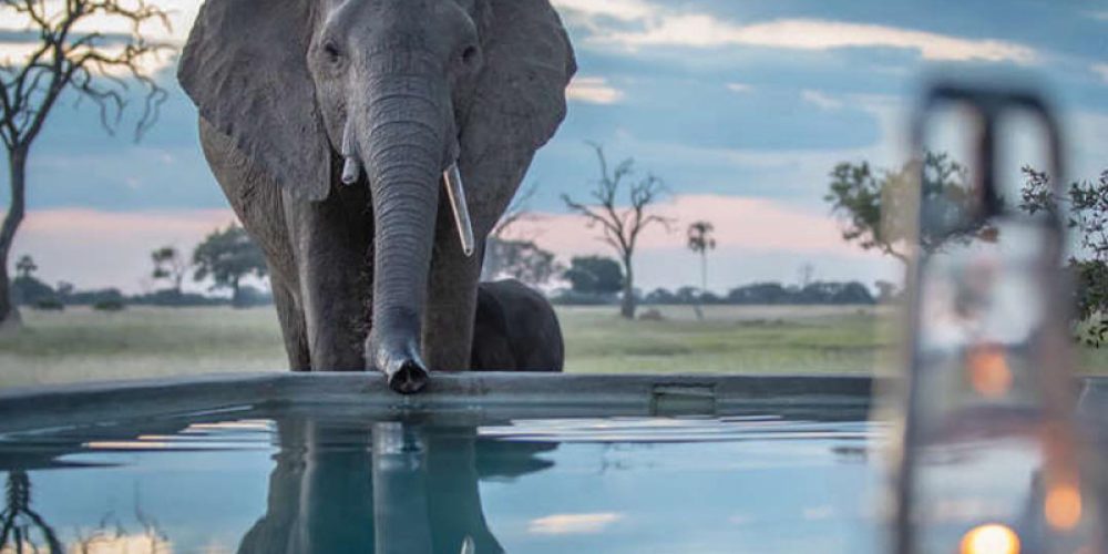 TMAC Unaccompanied Safaris_0005_54511928_1037894433264798_1393317874395554159_n